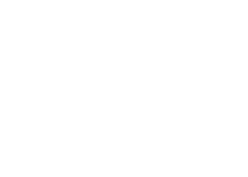 ion exchange technology