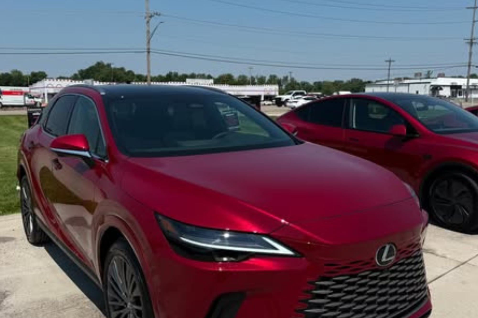 paint protection film