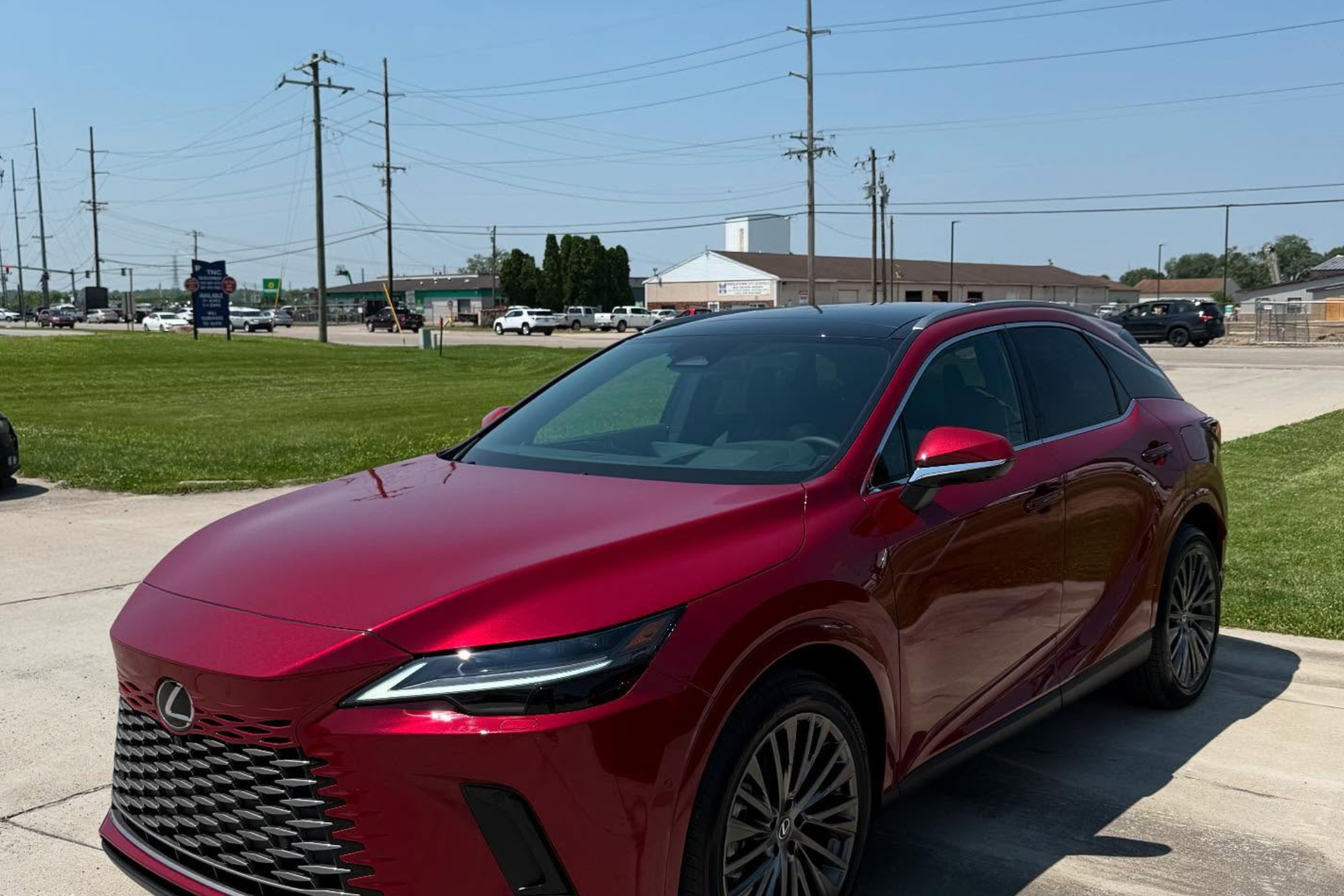 paint protection film