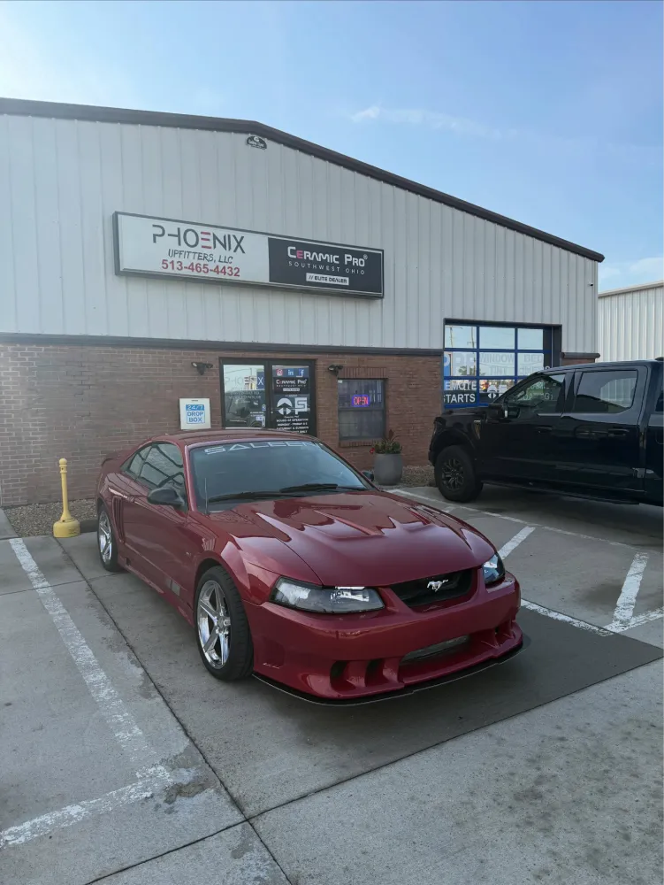 paint protection film